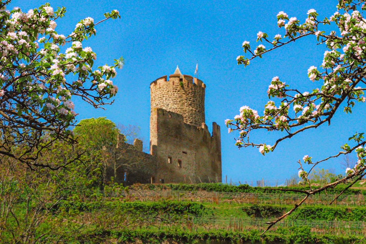 Photos of Spring in Alsace - Kaysersberg © French Moments