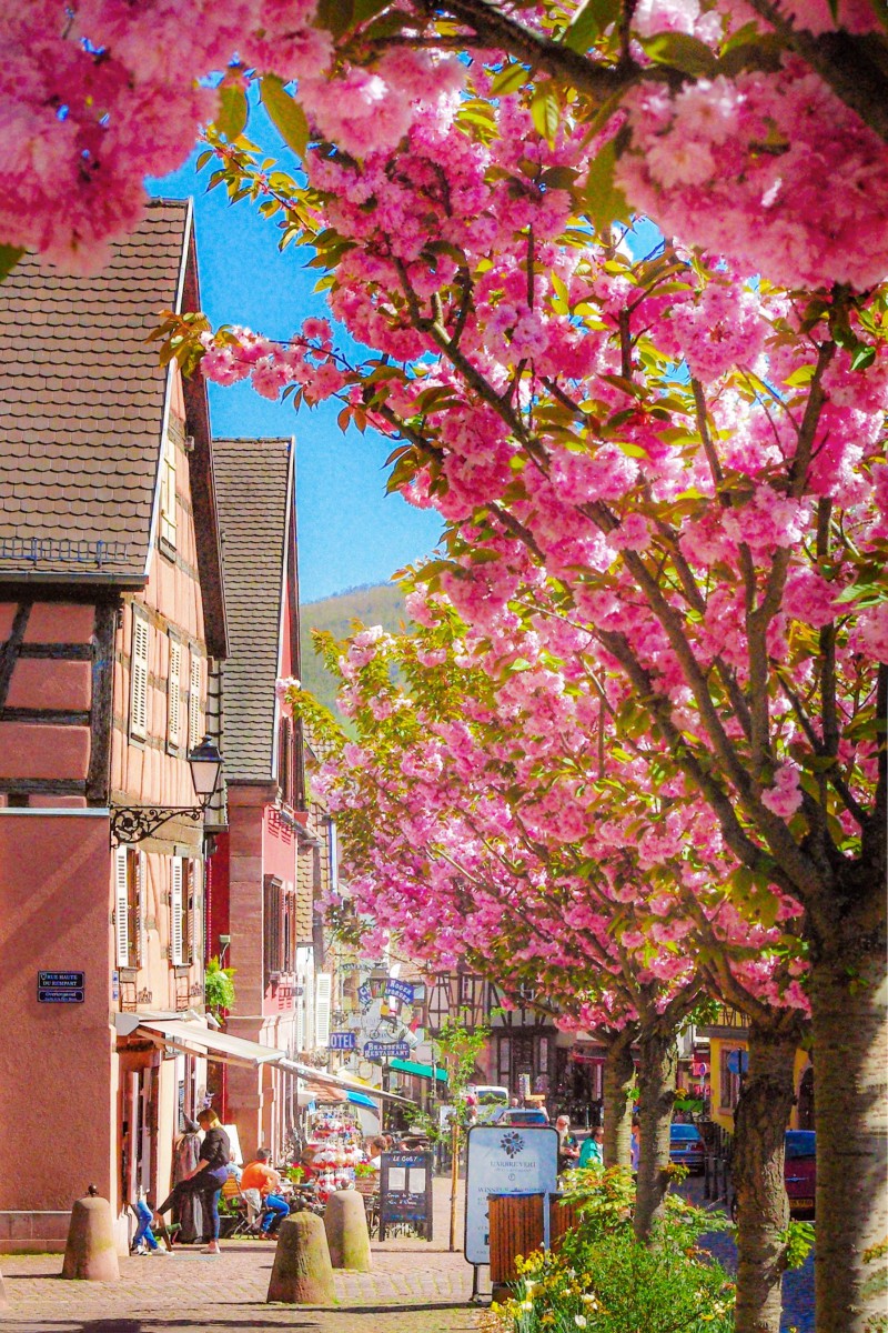 Photos of Spring in Alsace - Kaysersberg © French Moments