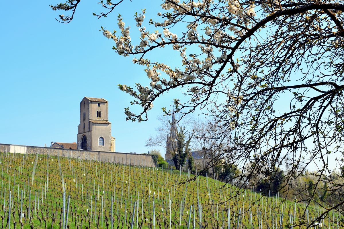 Photos of Spring in Lorraine - Toulois © French Moments