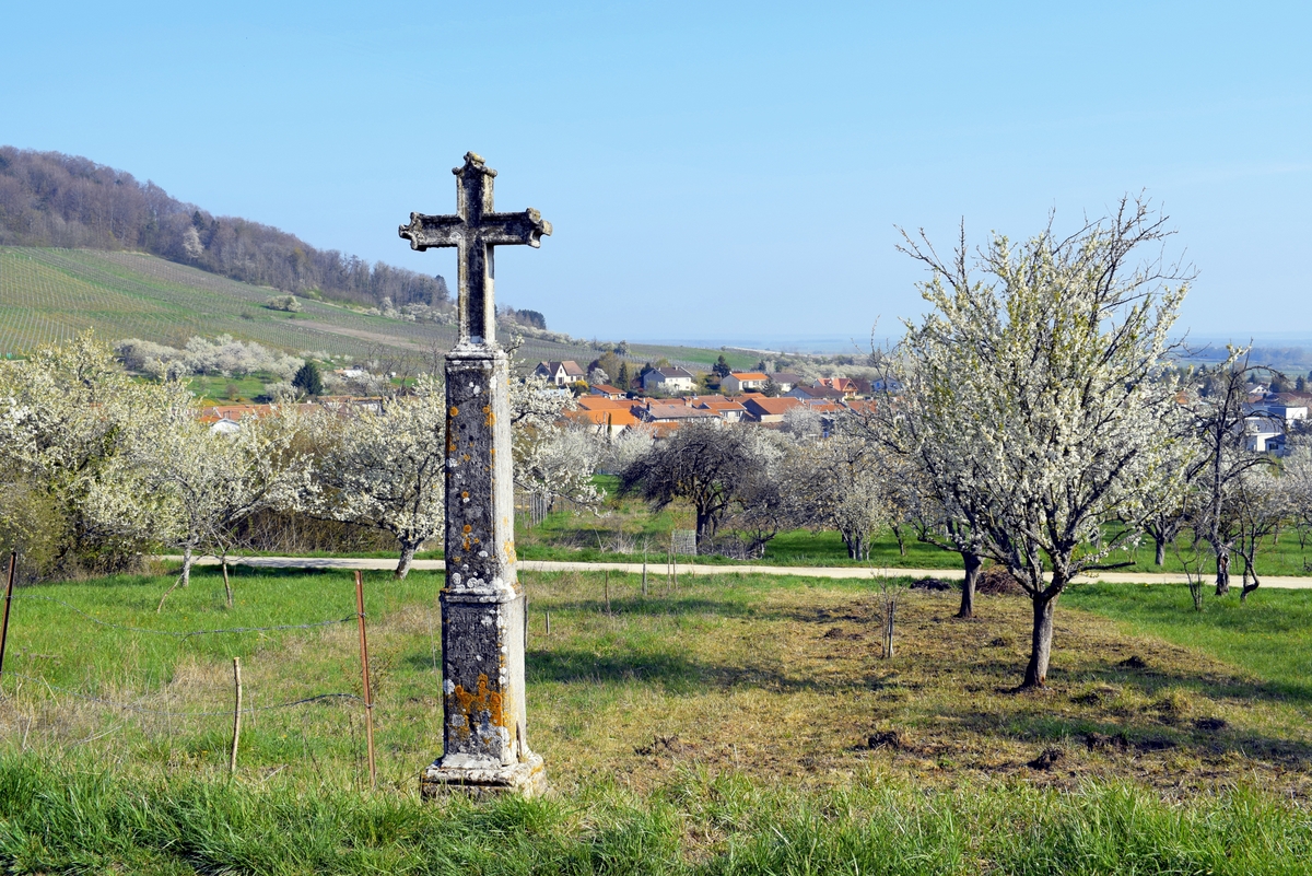 Photos of Spring in Lorraine - Toulois © French Moments