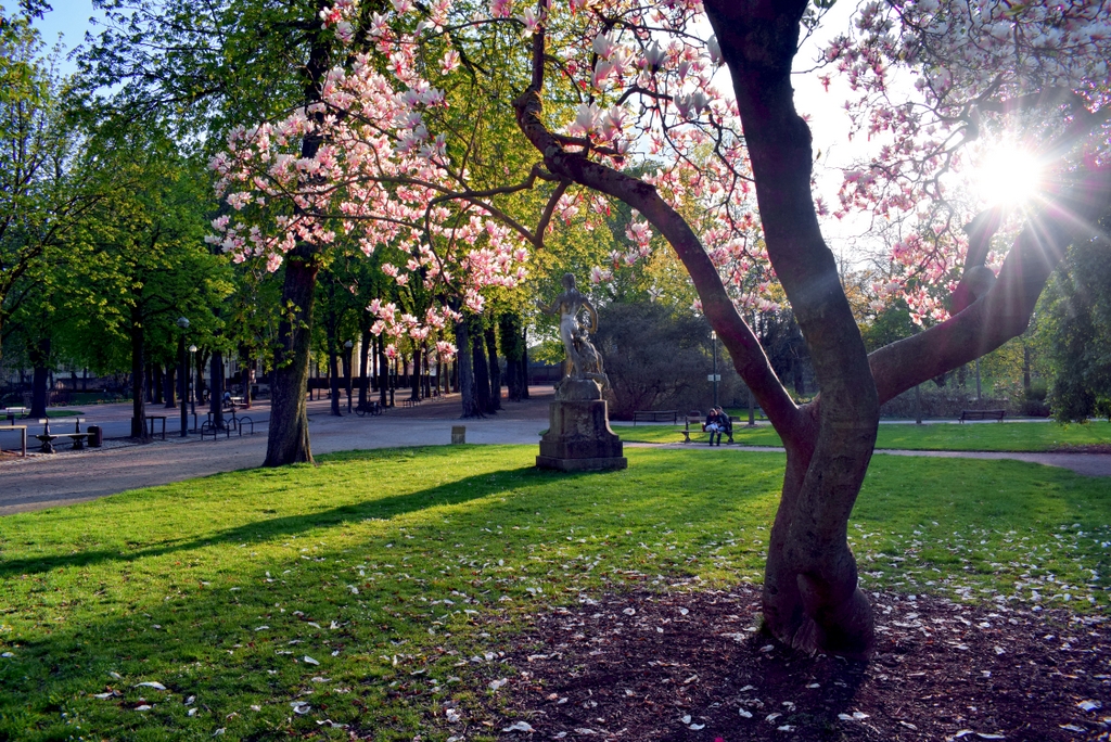 Photos of Spring in Lorraine - Nancy © French Moments