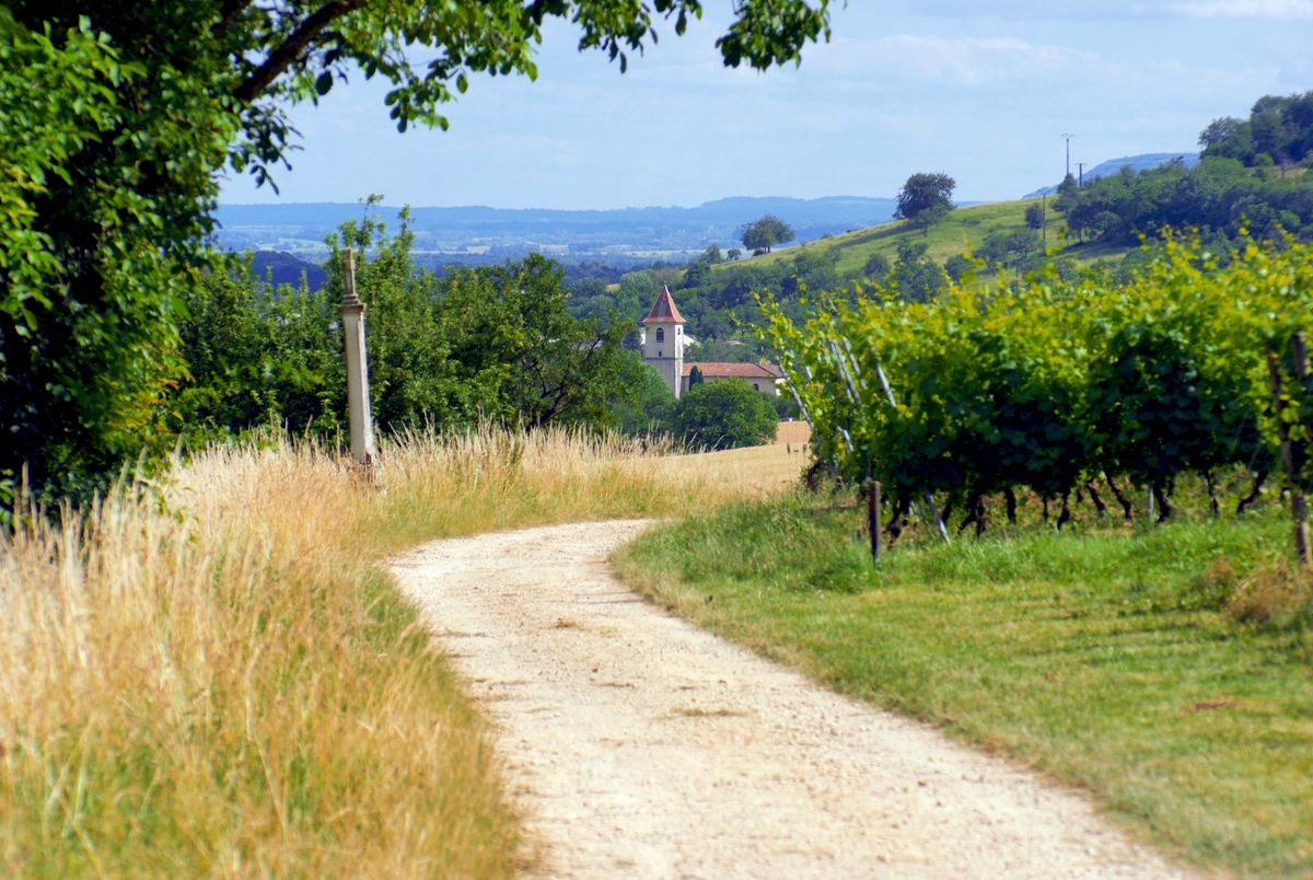 Near Toul, Lorraine © French Moments