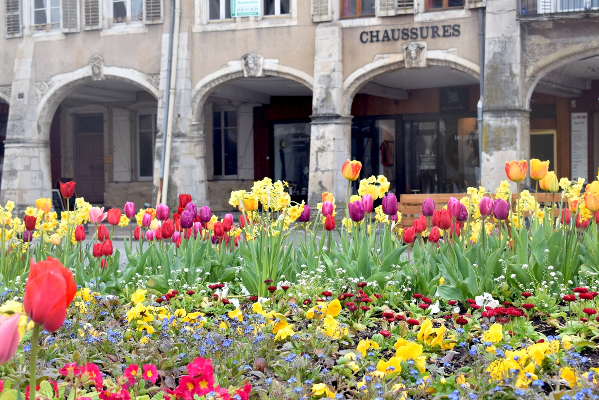 Moselle Valley - Photos of Spring in Lorraine - Pont-à-Mousson © French Moments