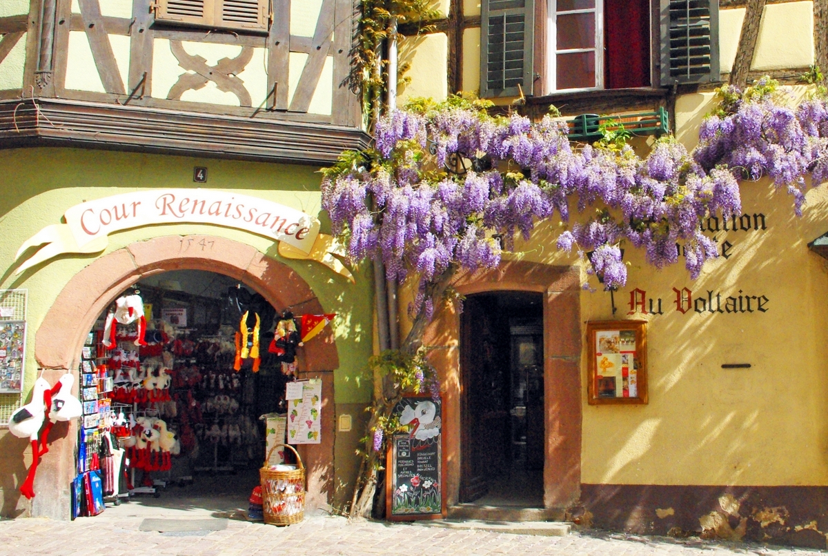 Photos of Spring in Alsace - Riquewihr © French Moments