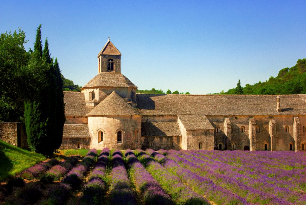 Sénanque Abbey near Gordes (South of France) © French Moments