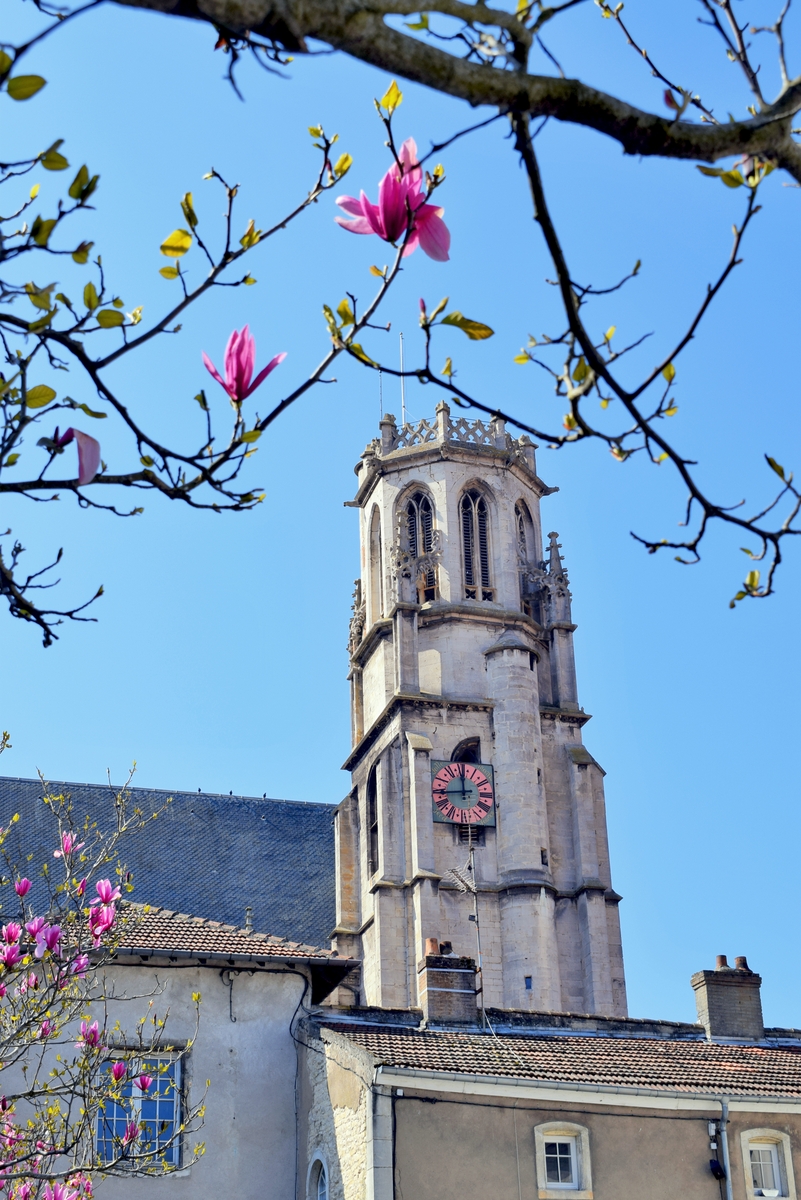 Photos of Spring in Lorraine - Toul © French Moments