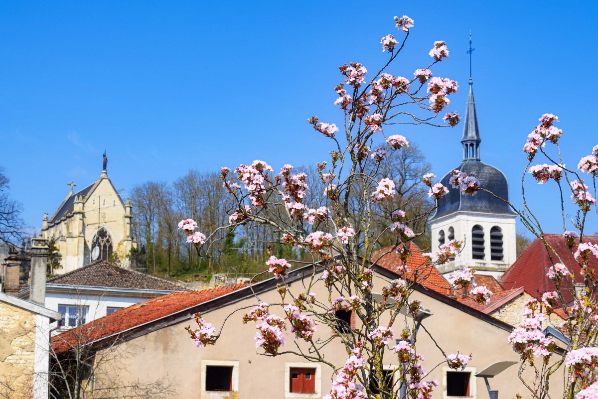 Photos of Spring in Lorraine - Vaucouleurs © French Moments