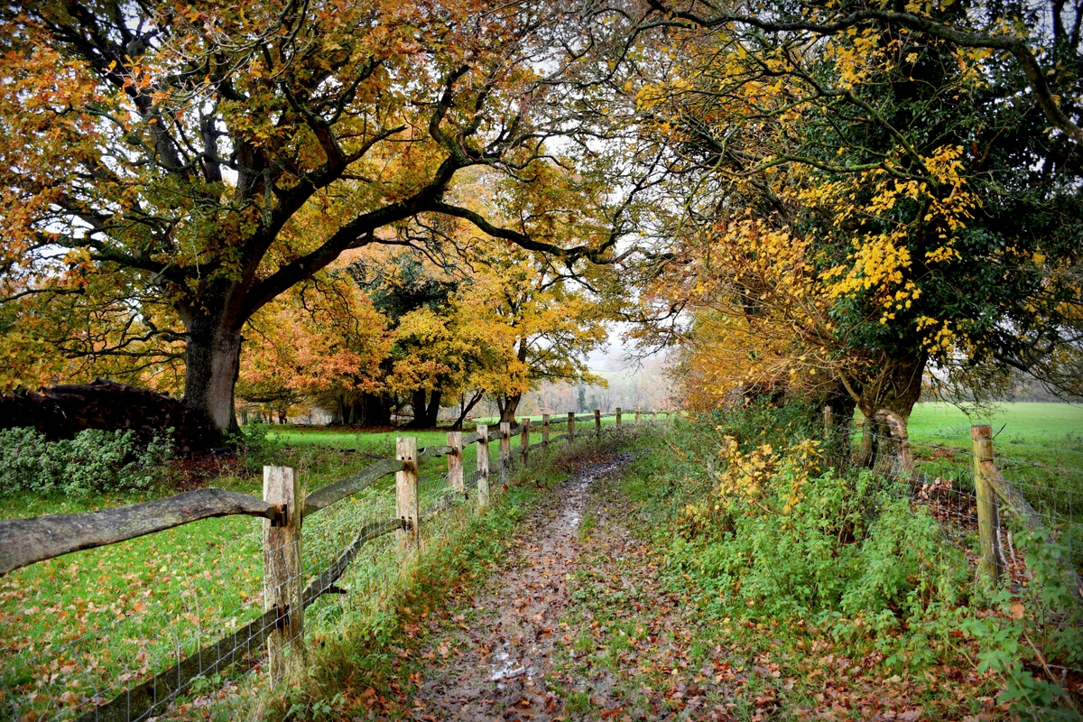 An autumn walk in Burwash East Sussex © French Moments