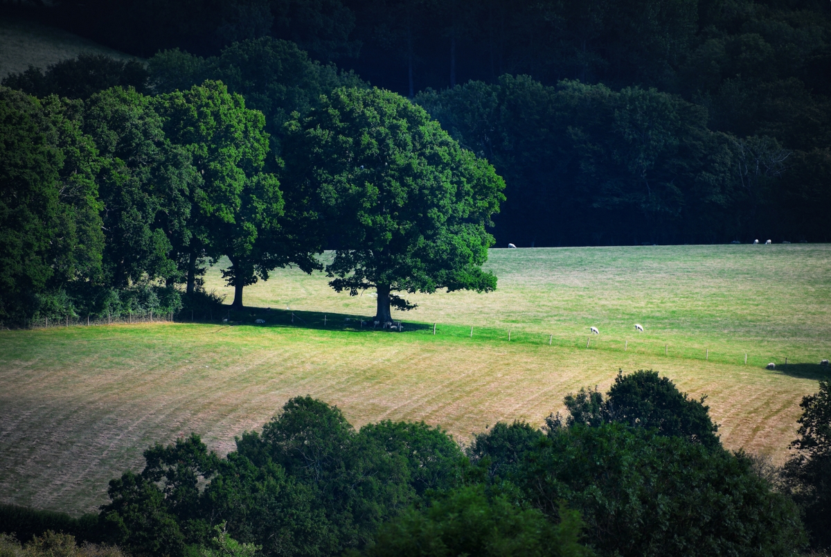 Burwash, East Sussex © French Moments