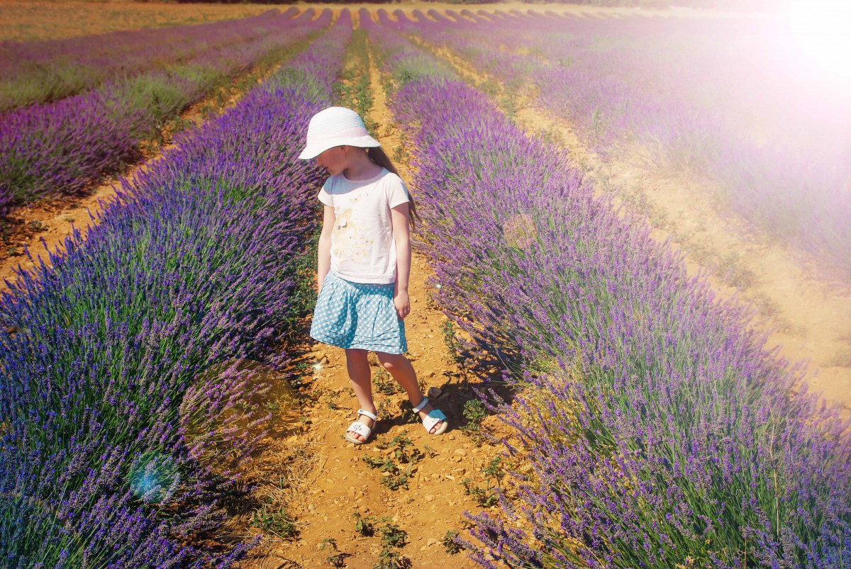 French countryside: Lavender Field in Provence © French Moments