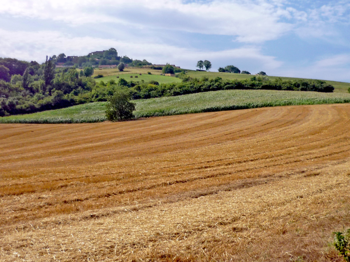 Moselle Valley - Butte de Mousson © French Moments