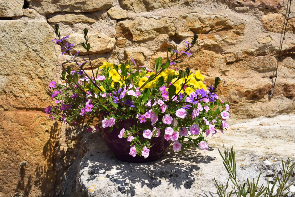 Châteauneuf - Bouquet of spring flowers © French Moments