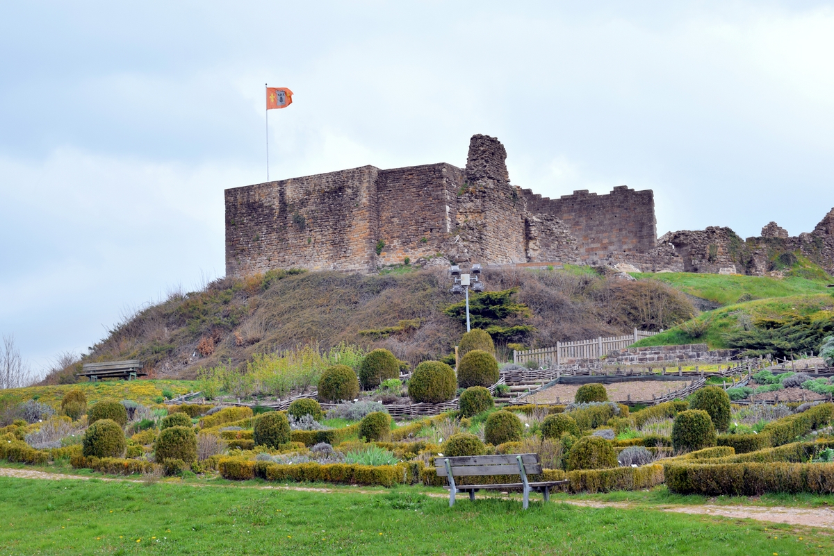 Castle of Epinal © French Moments