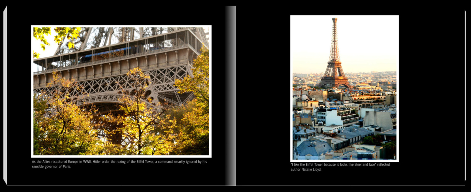 Paris: The Camera's Kiss by Jeremy Ferguson