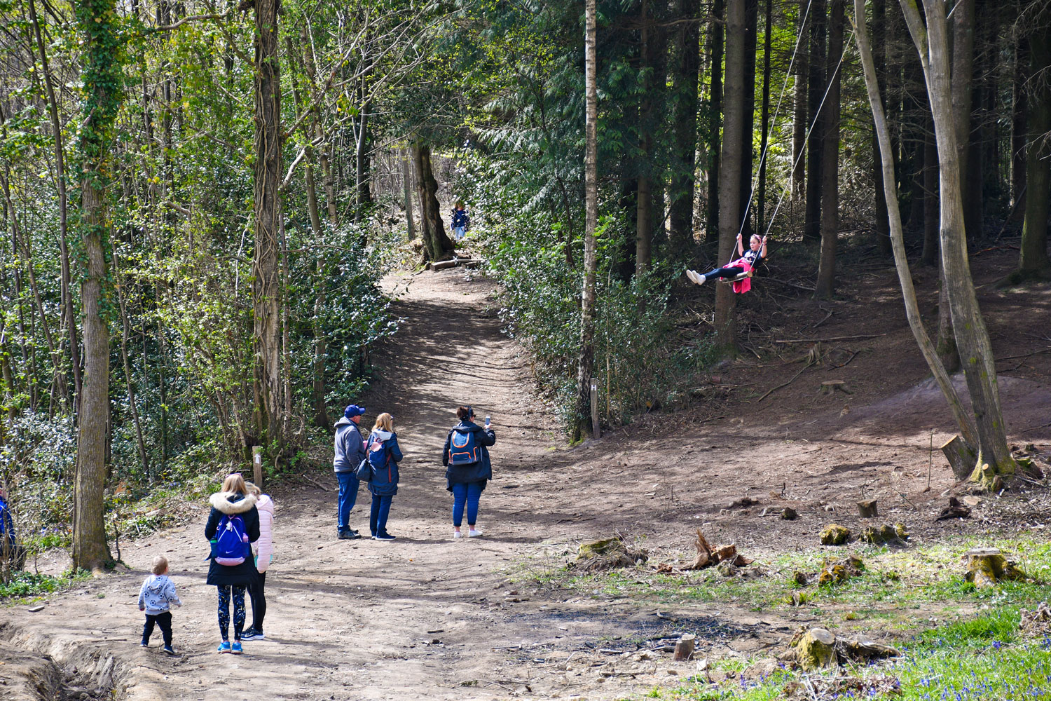 The big swing, East Sussex © French Moments