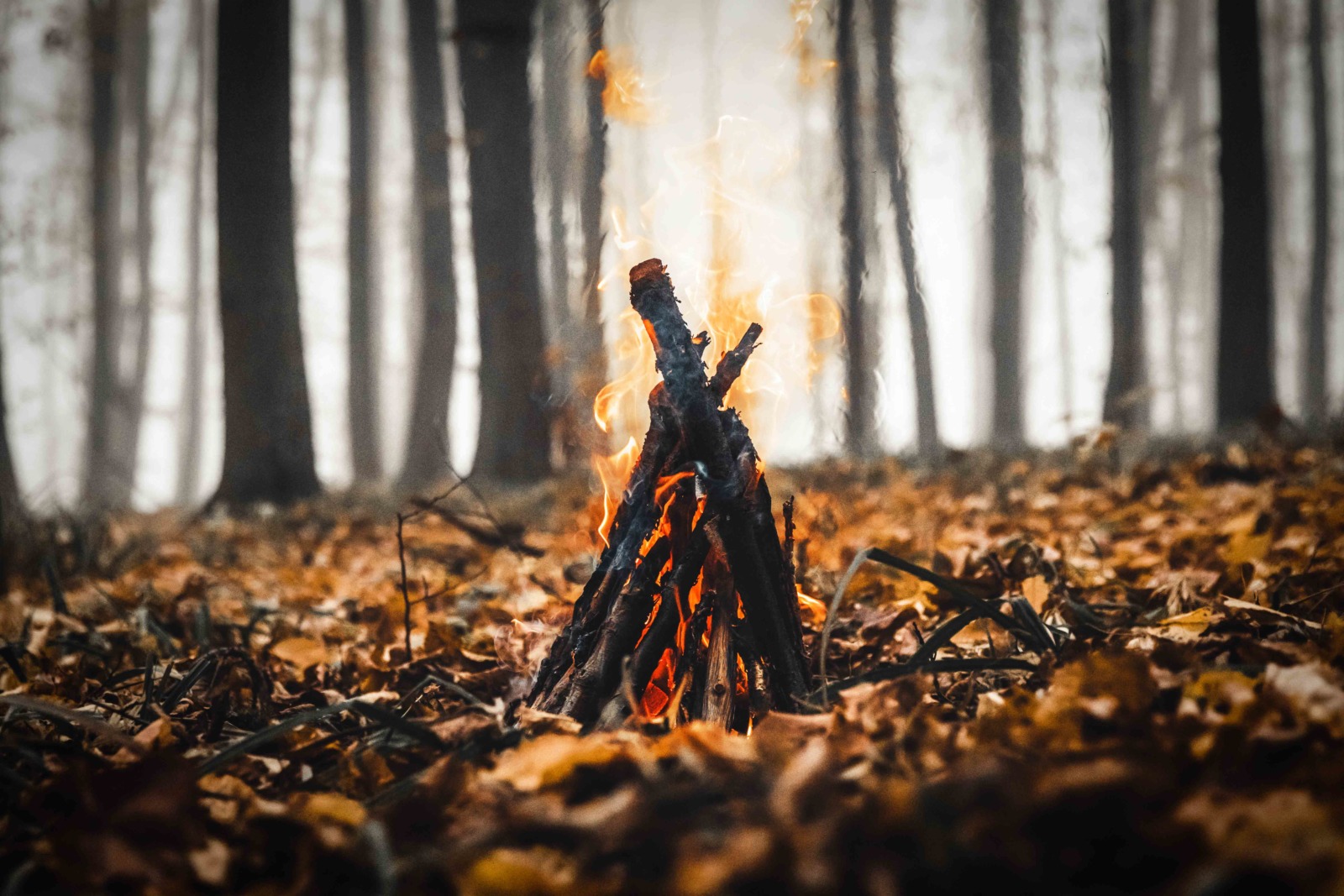 Bonfire - Feast of Saint-John in France. Photo serbogachuk