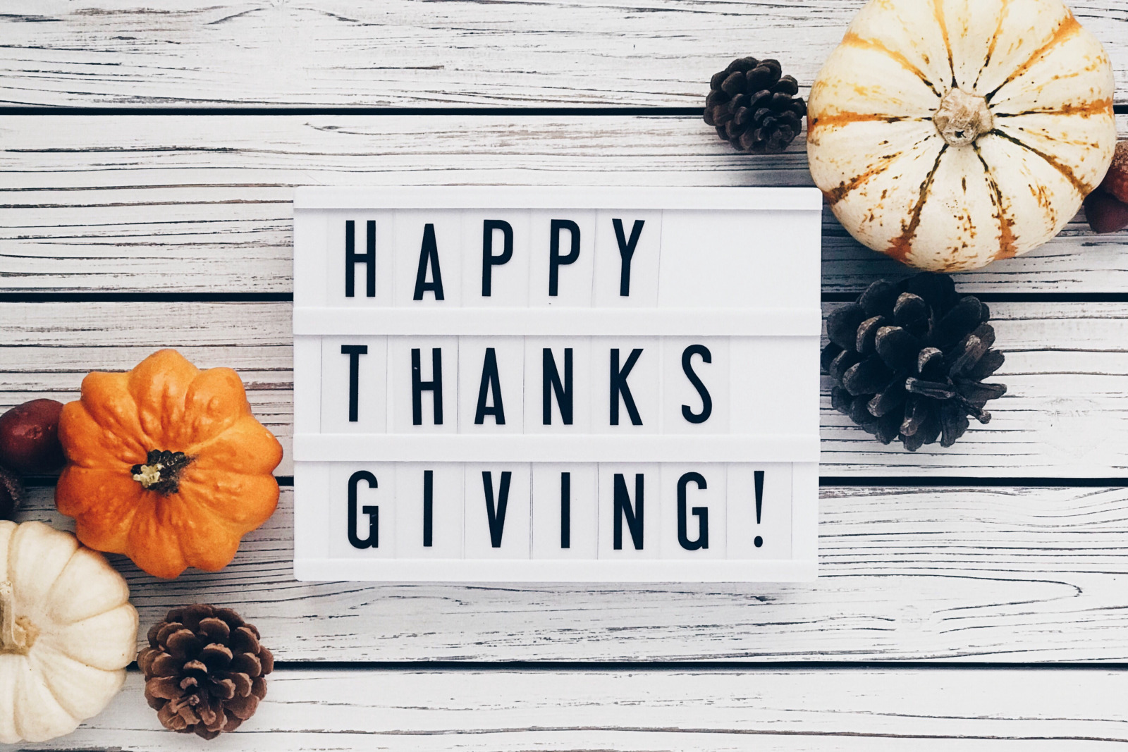 55 Meaningful Thanksgiving Messages and Wishes