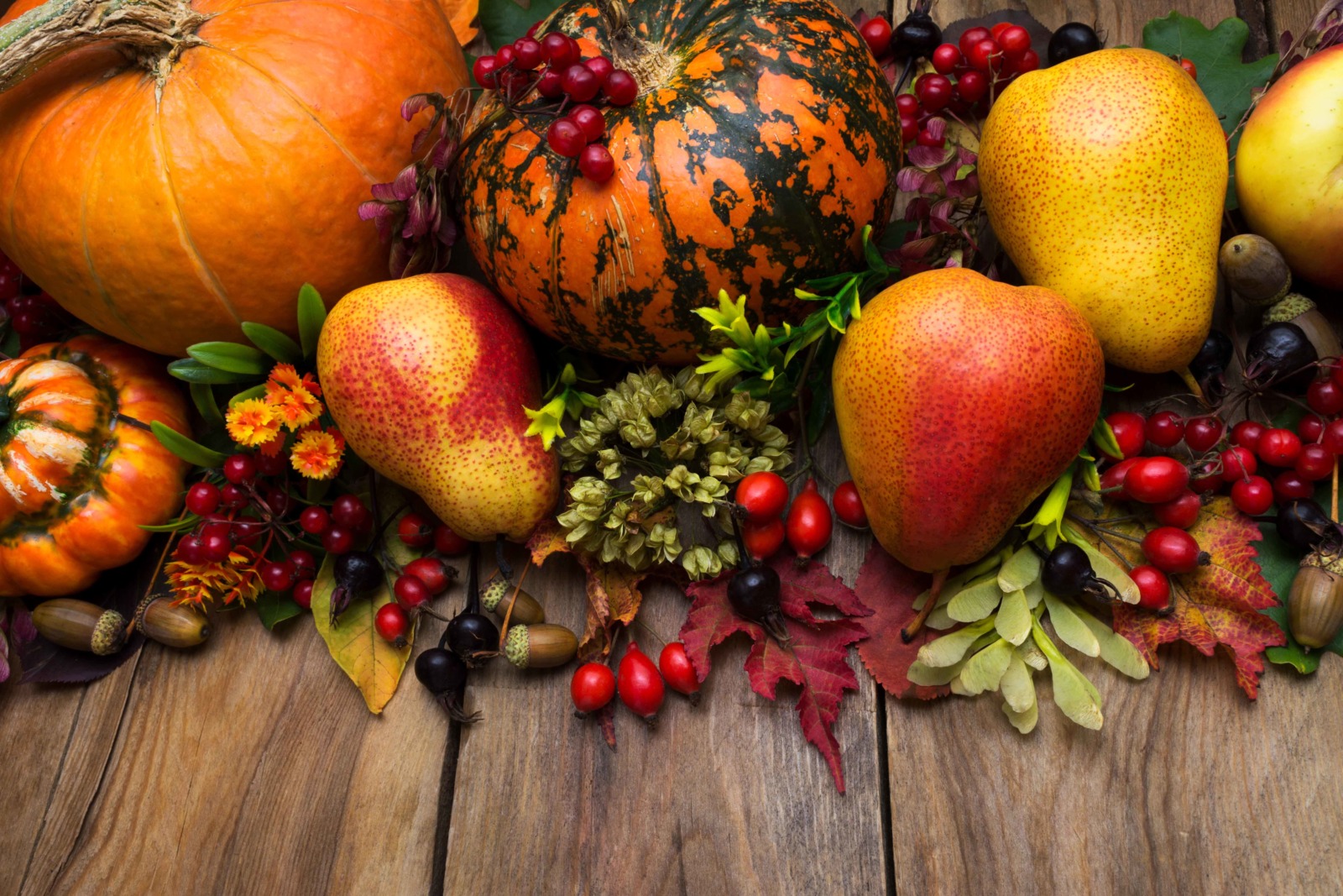 Thanksgiving arrangement with pumpkin and pear. Photo TasiPas via Envato Elements