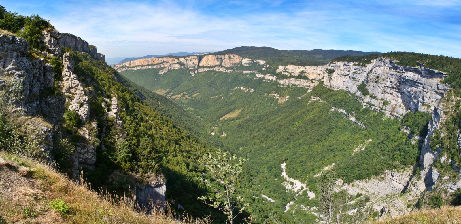Forest in France - Vercors Forest © Berrucomons - licence [CC BY-SA 3.0] from Wikimedia Commons