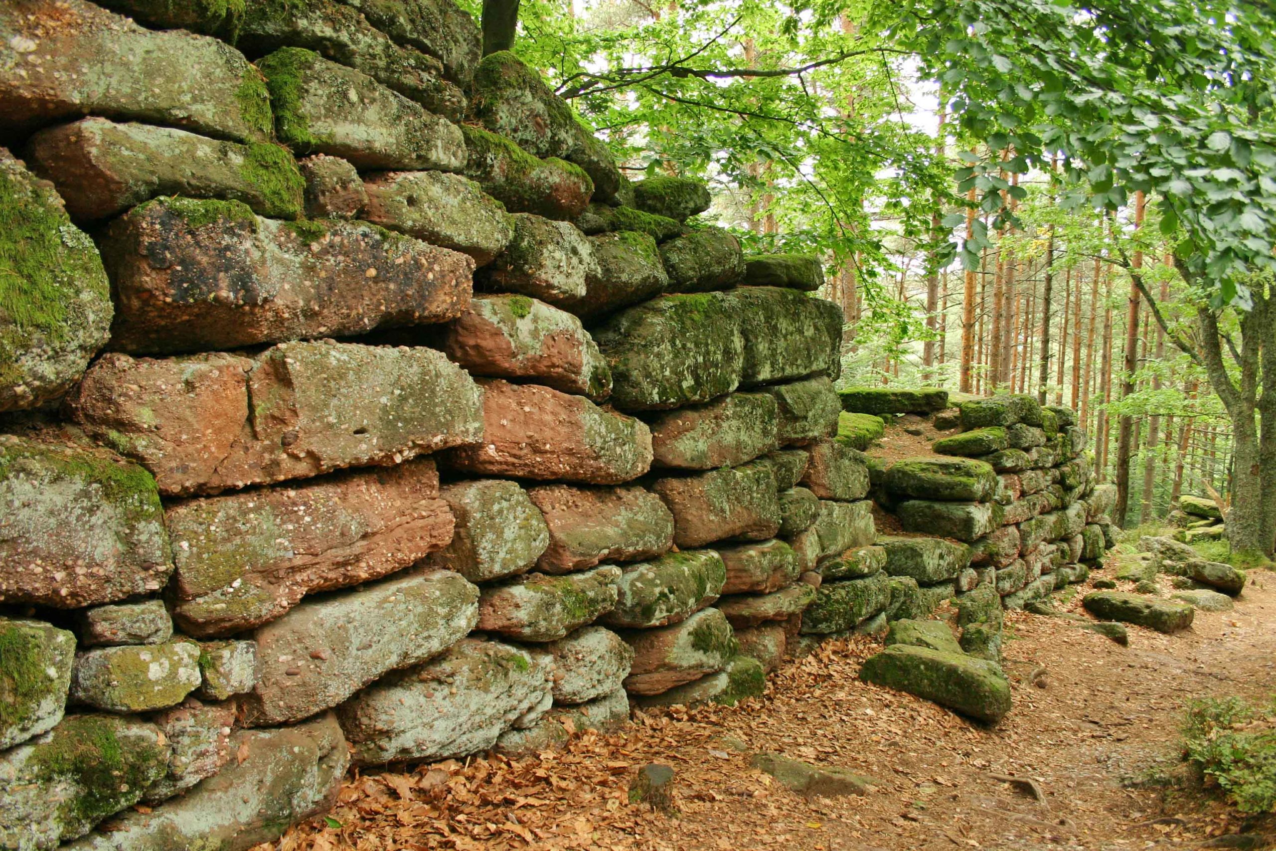 Pagan Wall of Mont Sainte Odile © Dietrich Krieger - licence [CC BY-SA 3.0] from Wikimedia Commons