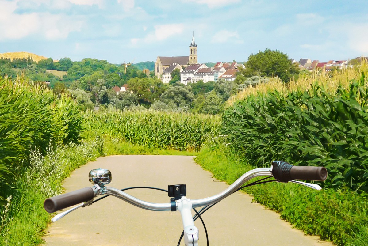Les plus belles pistes cyclables d'Alsace ! © French Moments