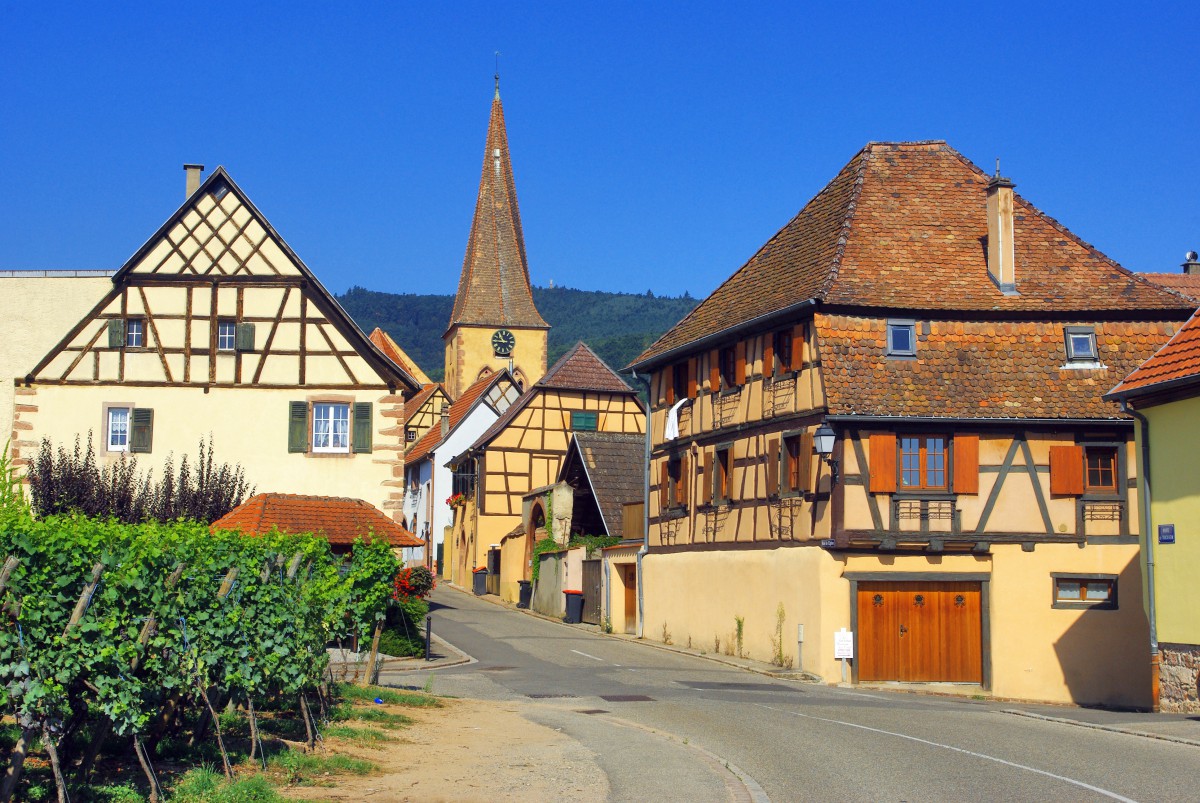 Tour of Alsace - Niedermorschwihr © French Moments