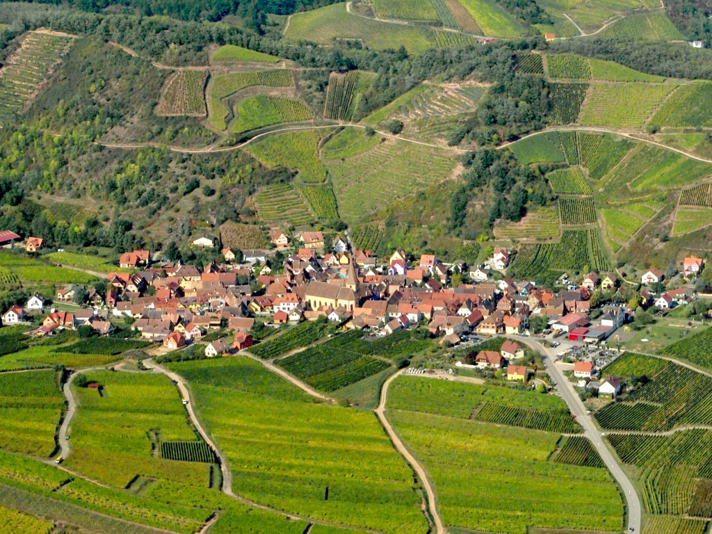 Route des Vins d'Alsace