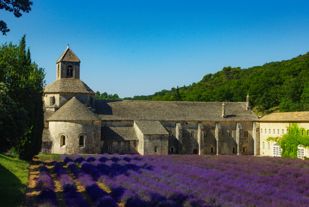 Abbaye de Sénanque © French Moments