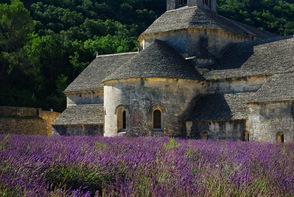 Abbaye de Sénanque © French Moments
