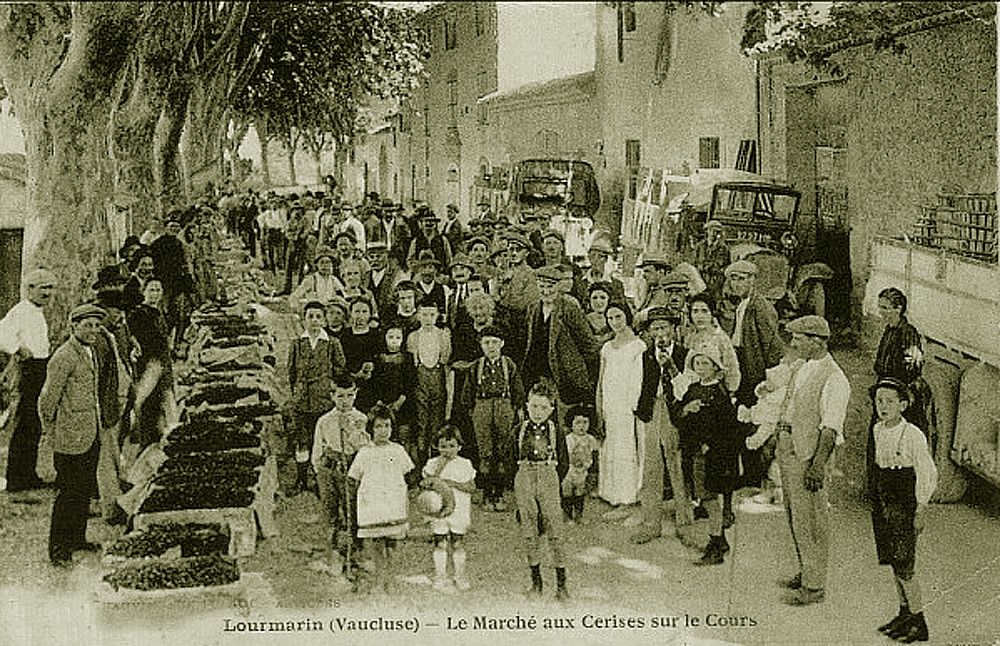 The Cherry Market circa 1900