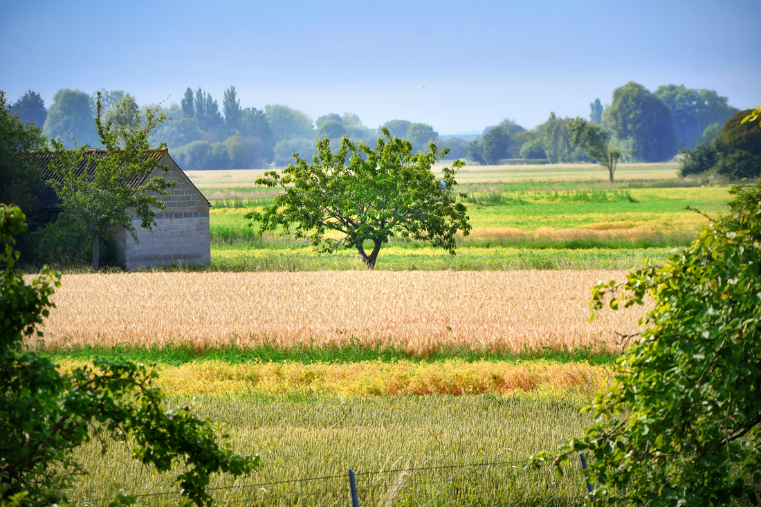 Douce France: the story of the song - French Moments