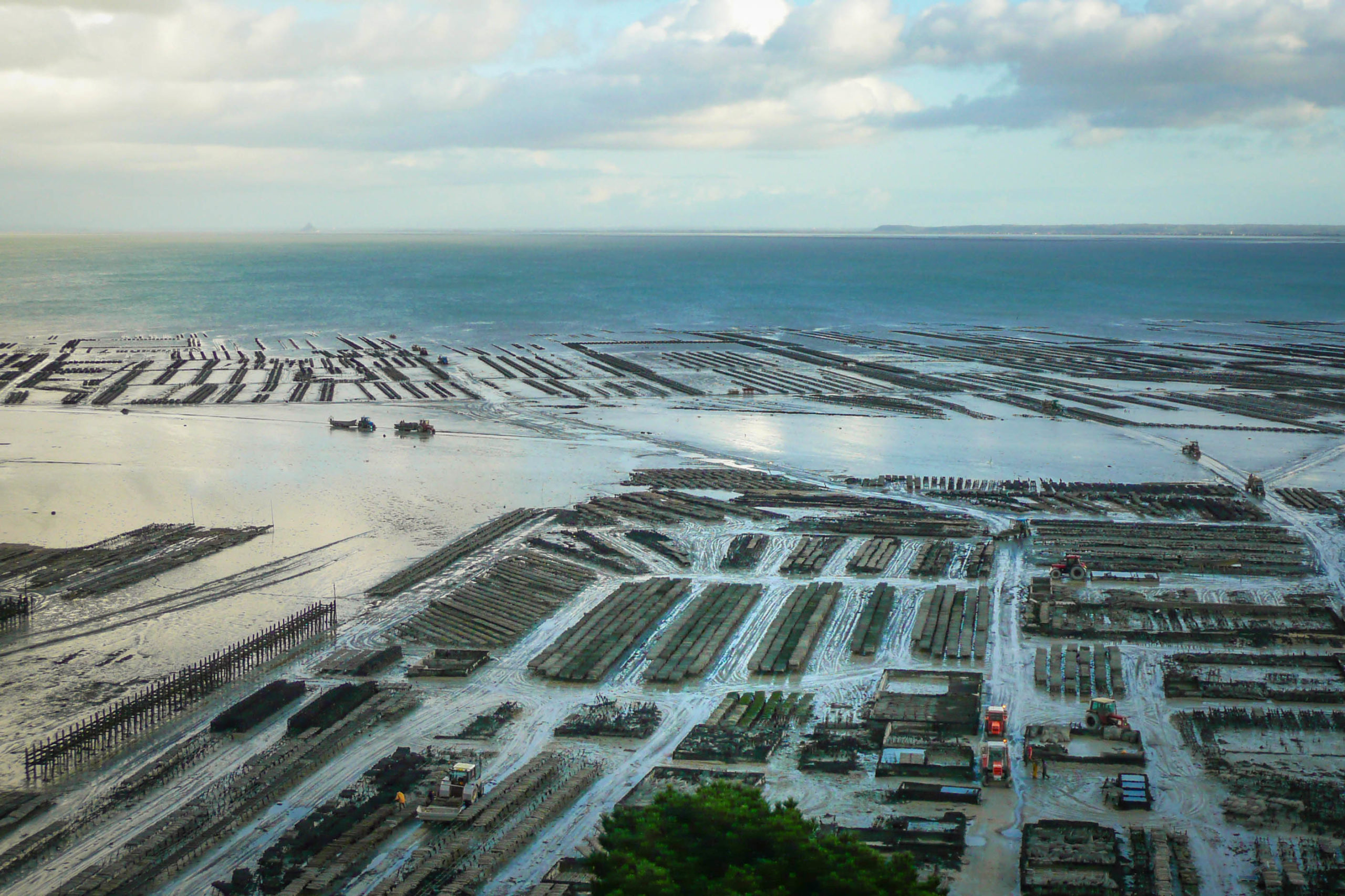Cancale Oyster Fields © Héric SAMSON - licence [CC BY-SA 3.0] from Wikimedia Commons