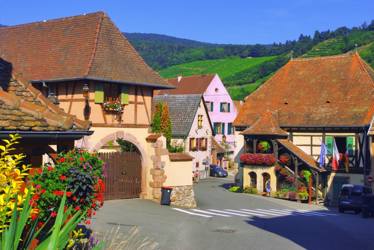 Colours of Alsace in Niedermorschwihr © French Moments