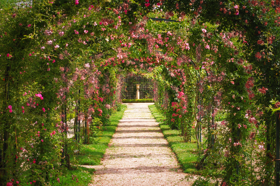 Paris in Pink - Roseraie du Val-de-Marne © French Moments