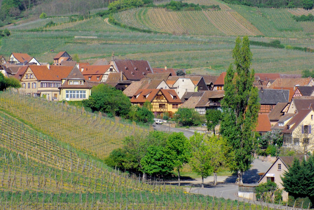 Hunawihr, one of France's most beautiful villages in Alsace © French Moments