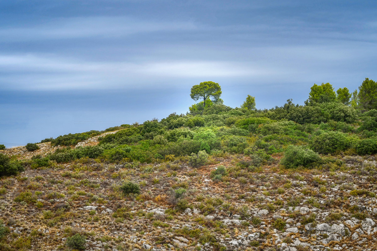 Garrigue of La Barben © French Moments