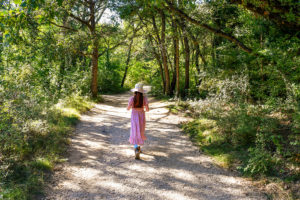 “Tour” in French — One Word, Two Genders, Many Meanings - French Moments