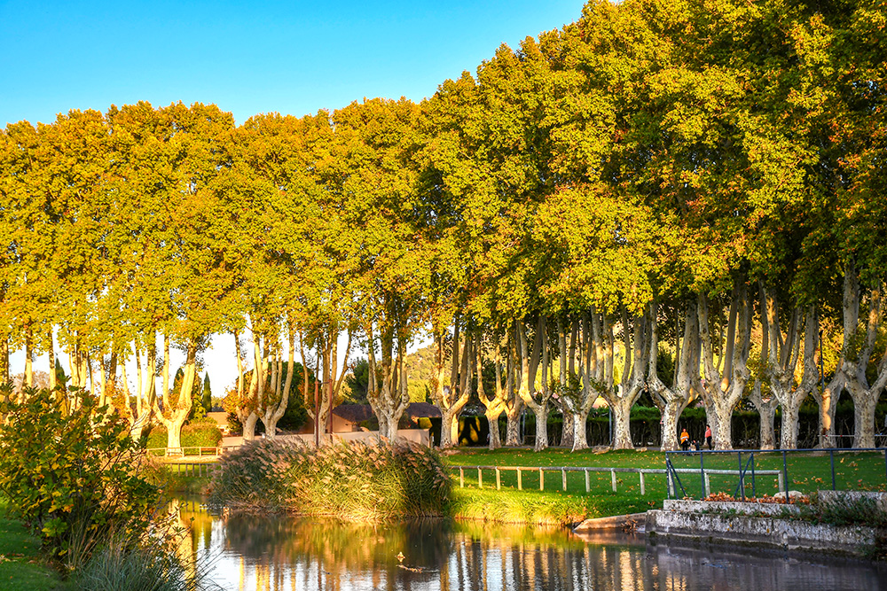 Carpentras Canal, Taillades © French Moments