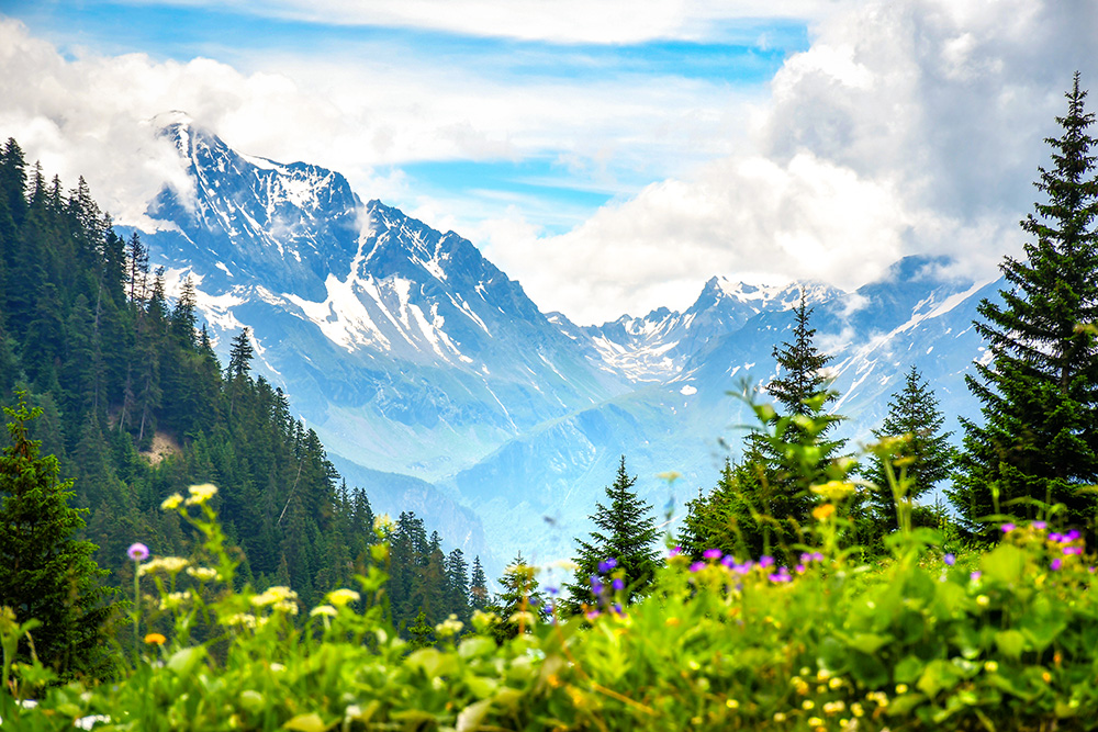 The French Alps in Summer © French Moments