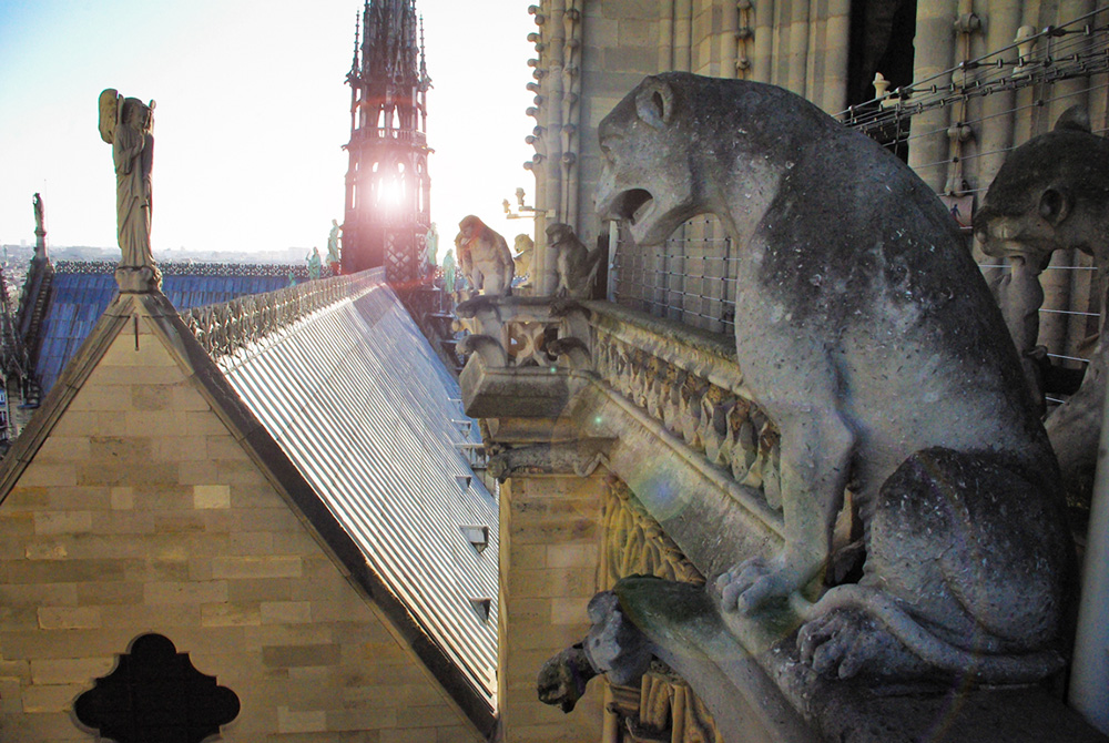 Gargoyles and Chimeras - Notre Dame de Paris © French Moments