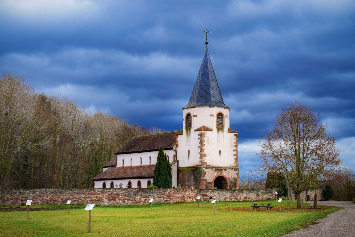 Avolsheim Alsace 01 LR © French Moments Autour de Strasbourg - Le Dompeter © French Moments
