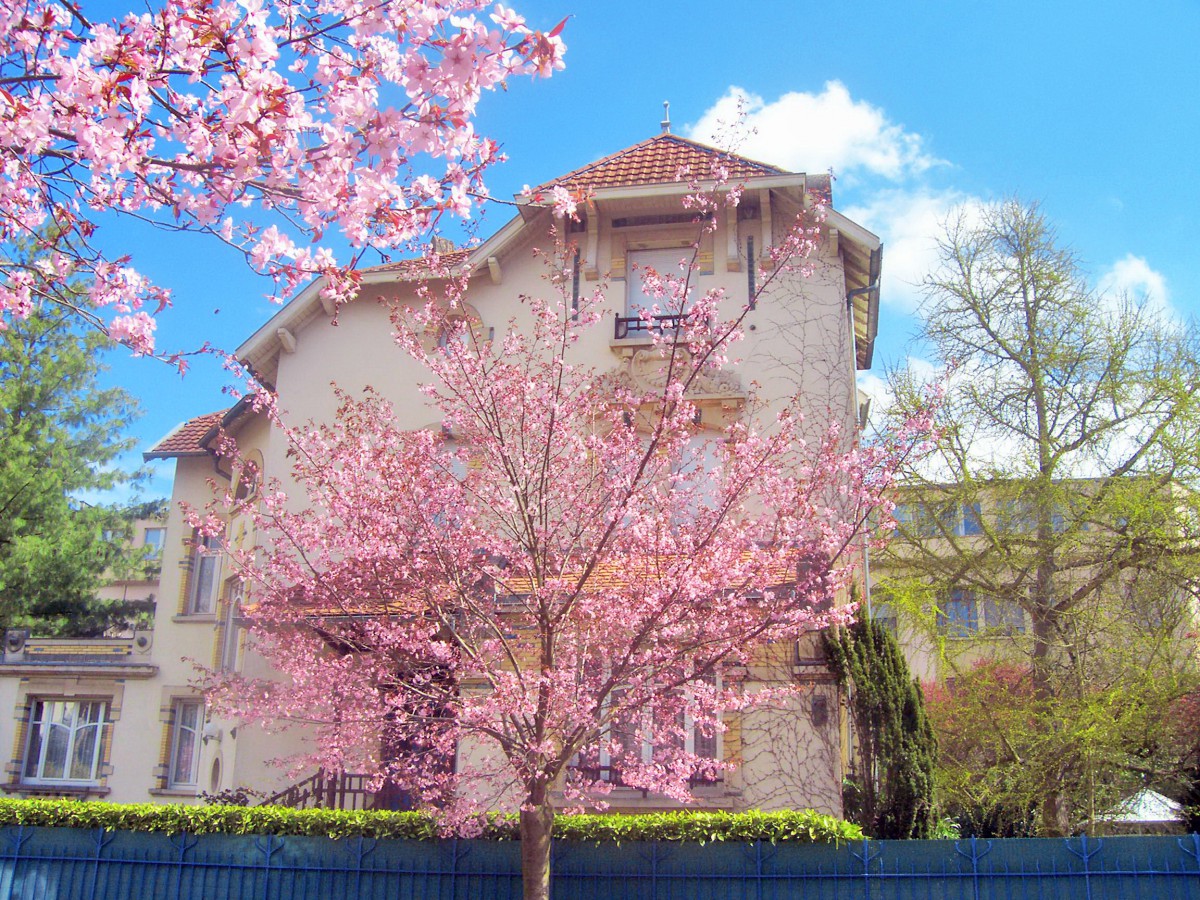 Nancy-Art-Nouveau-Spring-©-French-Moments Architecture of Nancy, France © French Moments