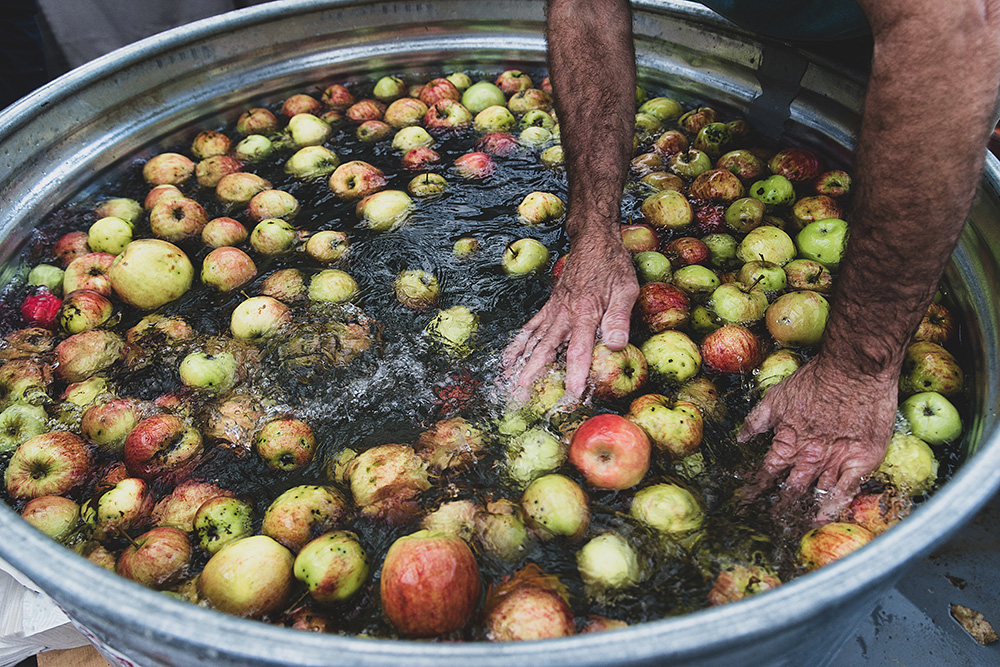 Apple Cider. Photo by MatHayward via Envato Elements