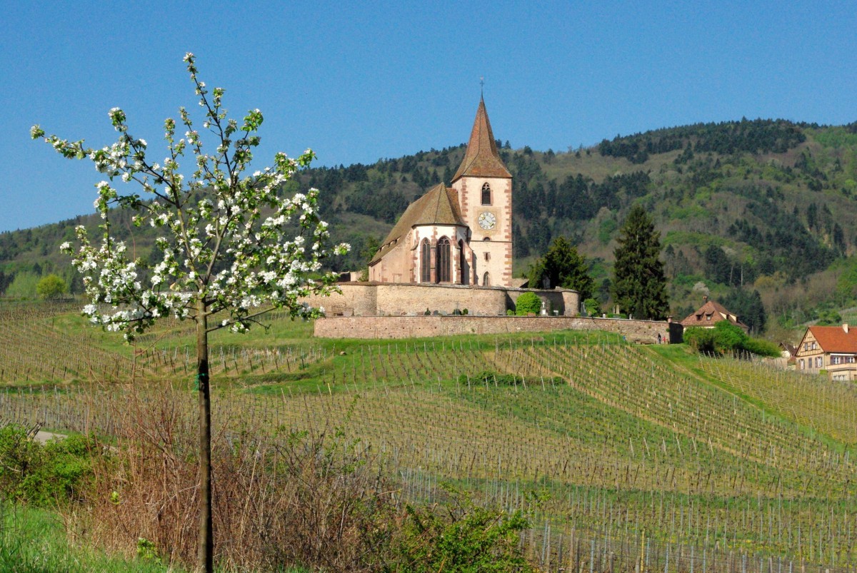 Hunawihr © French Moments Conséquences des Traités de Westphalie sur l'Alsace