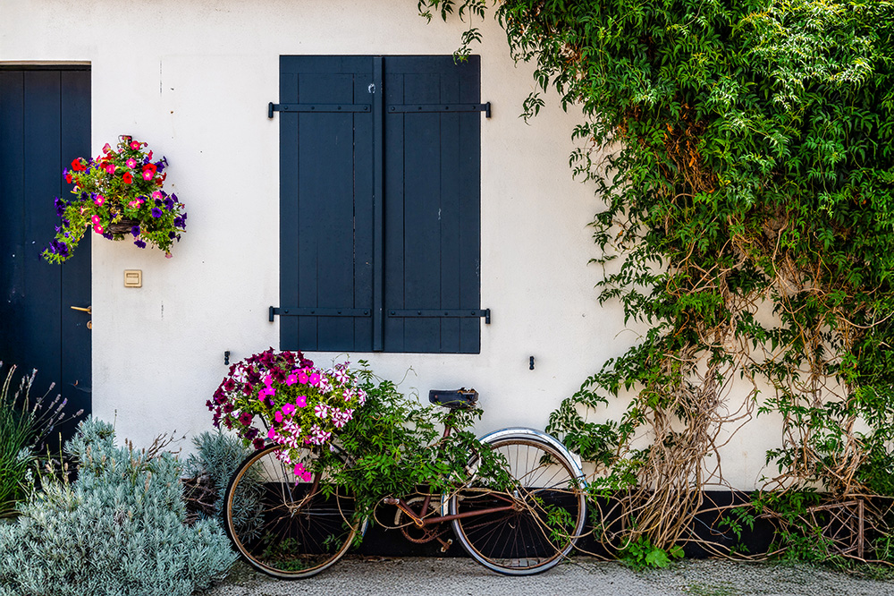 Traditional House Ile de Ré. Photo by JJFarquitectos via Envato Elements