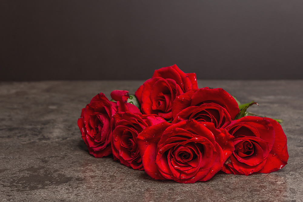 Red roses meaning by Chatham172 via Envato Elements