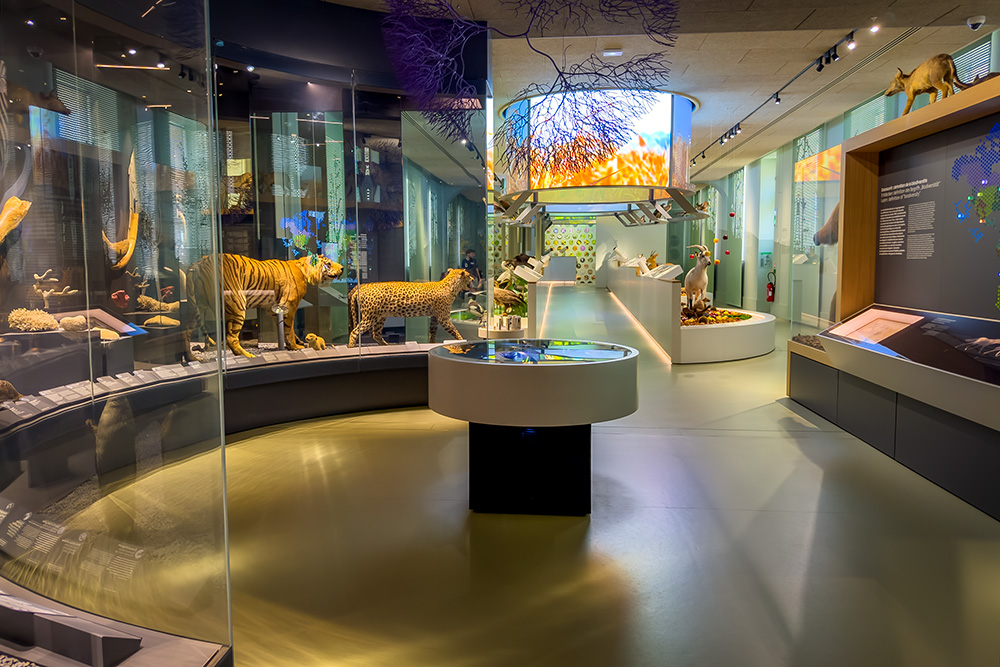 2 Days in Metz - Biodiversity Pavillon, Musée de la Cour d'Or © French Moments