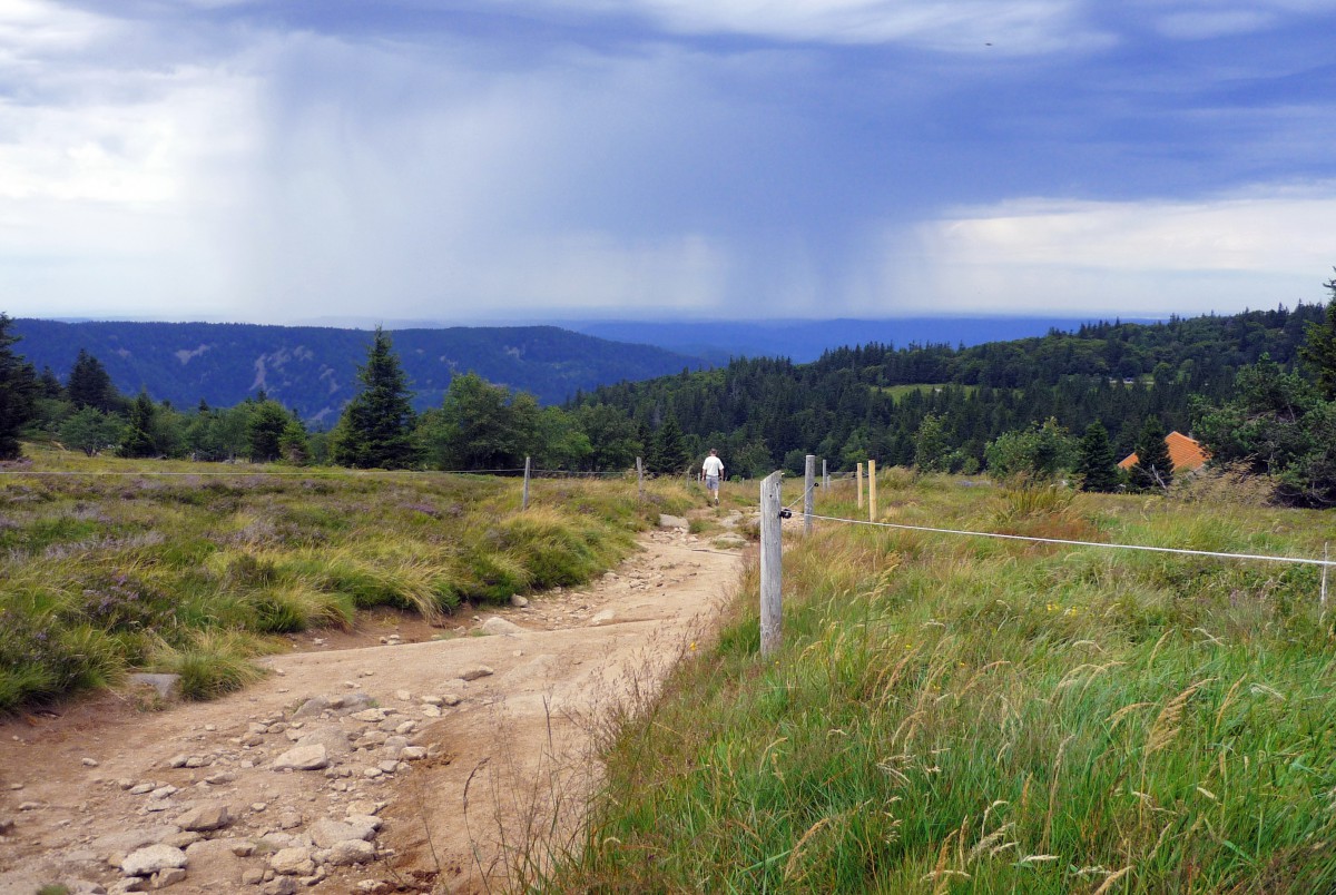 Gazon du Faing Route des Crêtes 03 © French Moments Gazon du Faing : intempéries dans les Vosges © French Moments