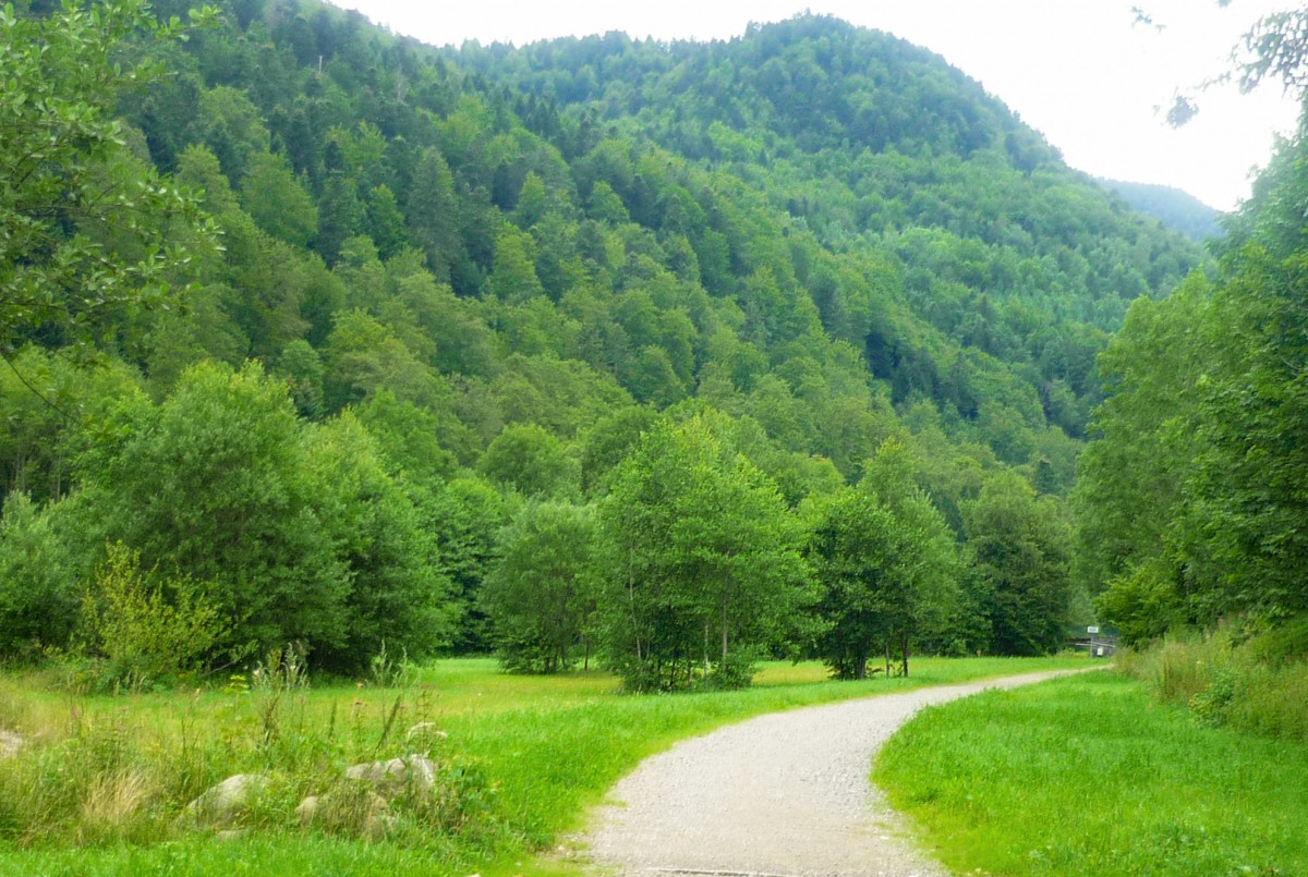 Près de Wildenstein © French Moments