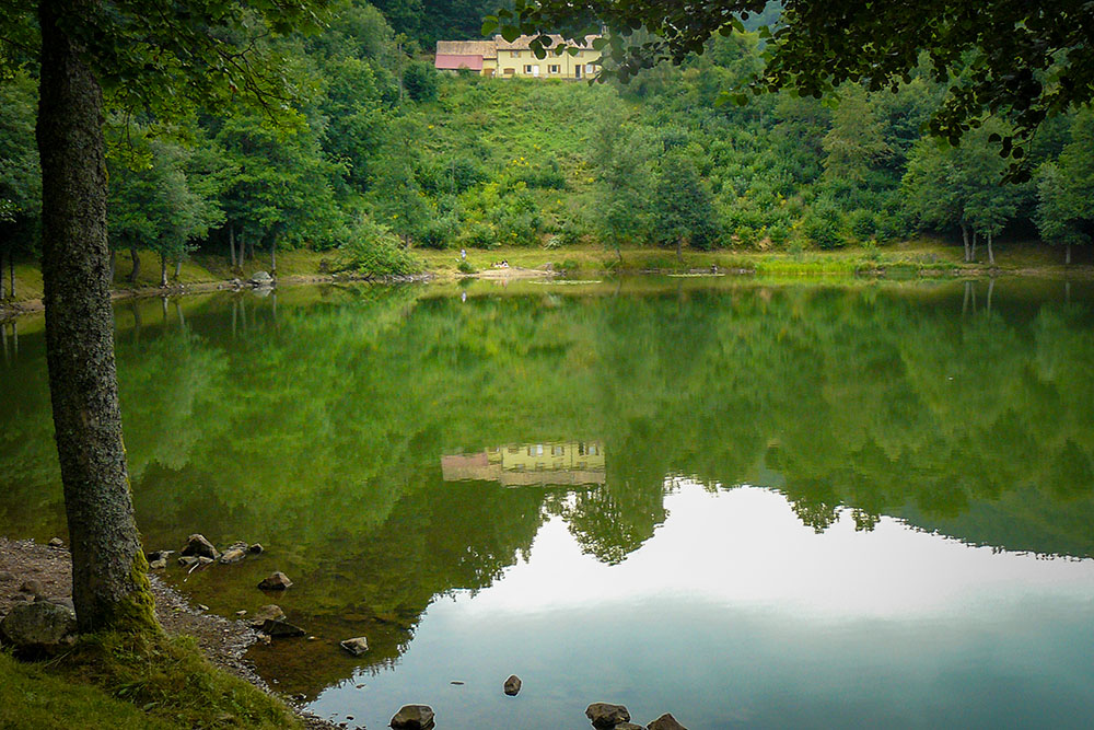 Lachtelweiher. Photo by Félix Potuit [Public Domain via Wikimedia Commons]